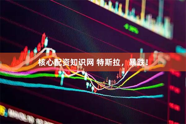 核心配资知识网 特斯拉，暴跌！